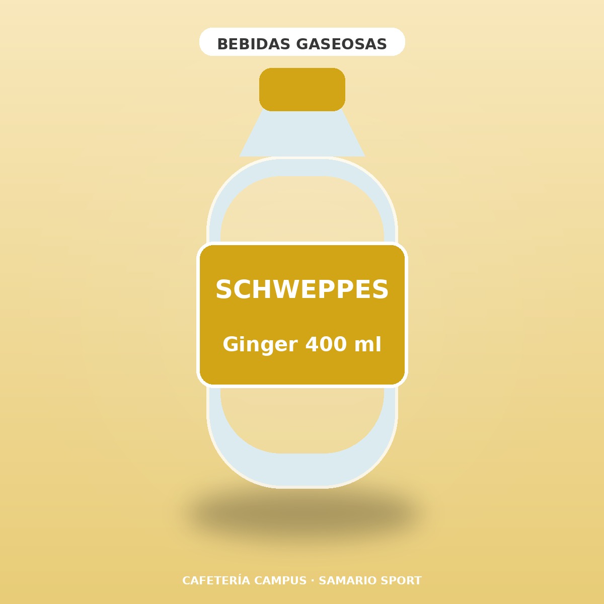 SCHWEPPES GINGER 400ML PET